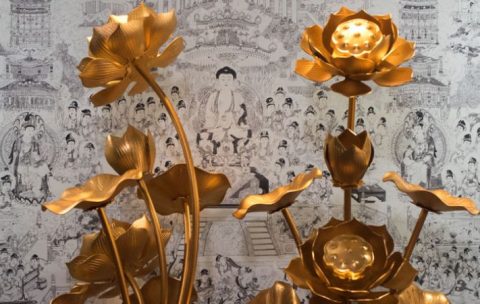 Có nên để hoa sen đồng trên bàn thờ trong thờ cúng.